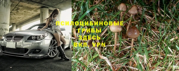 jwh Аркадак