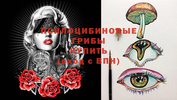 прущие грибы Новозыбков