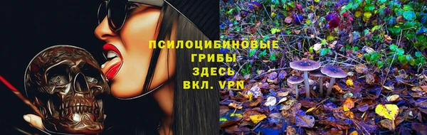 СК Армянск