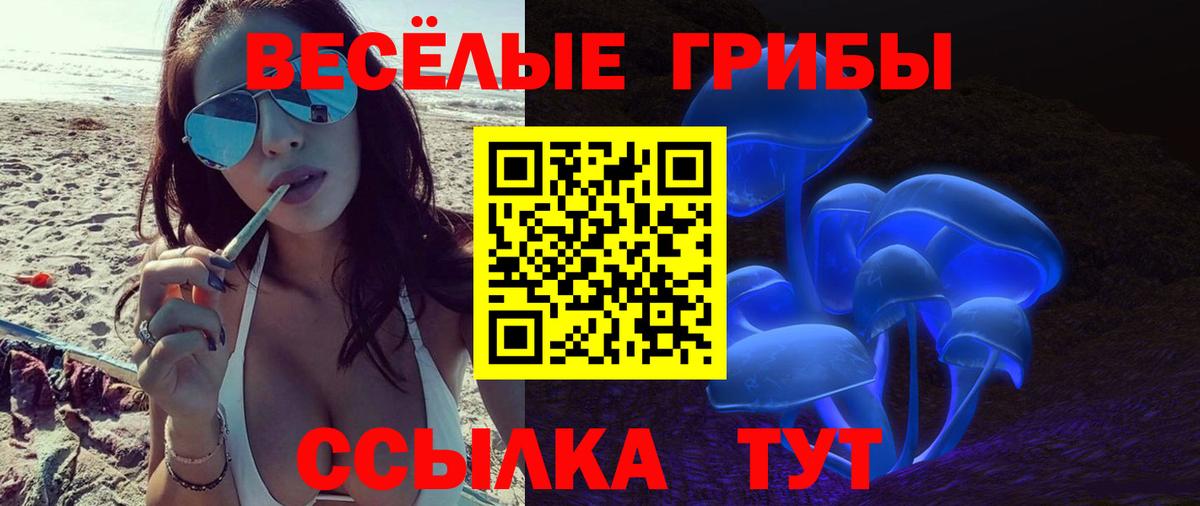 Галлюциногенные грибы прущие грибы Междуреченск