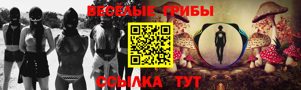 Междуреченск  Галлюциногенные грибы GOLDEN TEACHER  Вход с VPN 
